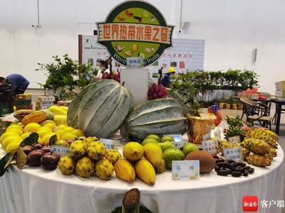 2025年2月，鷹米團隊講解器如何讓世界熱帶水果之窗